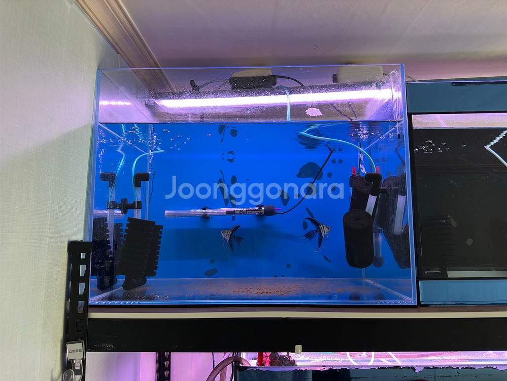 2자어항 3자어항 어항필터(EHAIM) 받침대 관상어--0