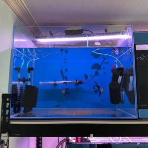 2자어항 3자어항 어항필터(EHAIM) 받침대 관상어