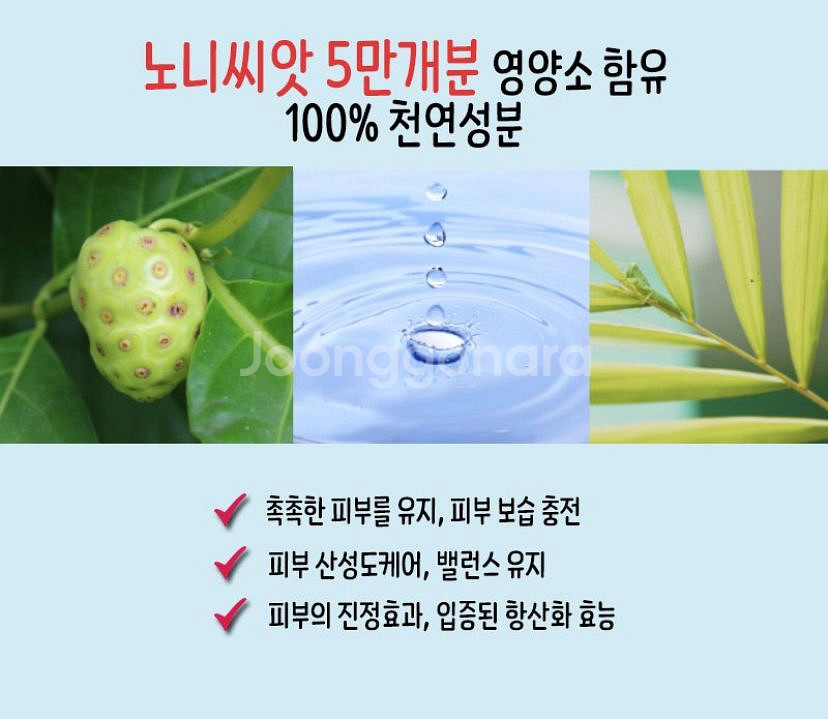 탈모예방 가이아 노니 오일 앰플--4