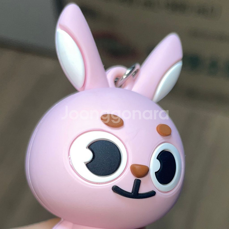 데이식스 데니멀즈 필 피규어 원필 포카 필끼--2