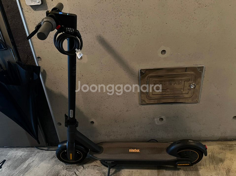 나인봇 g30--0