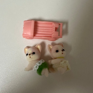 실바니안 치와와 일괄 양도합니당