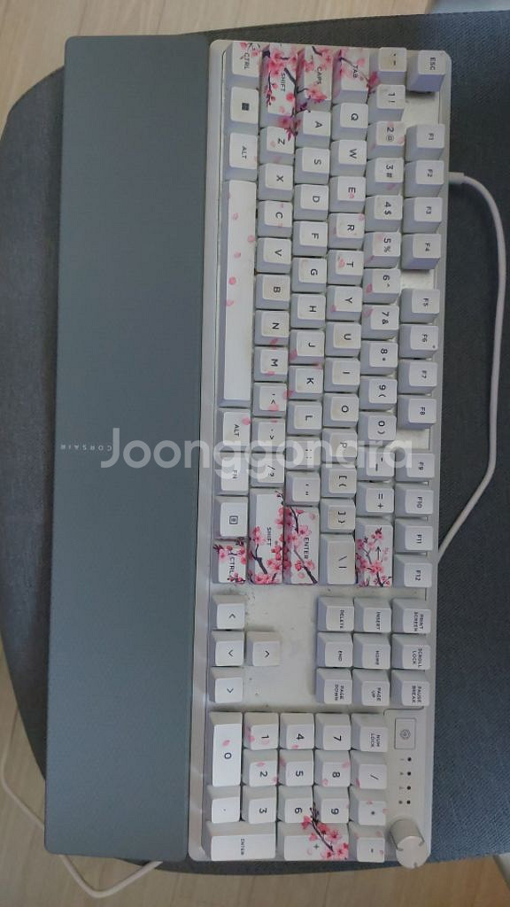 커세어 k70 cherry blossom 키보드--0