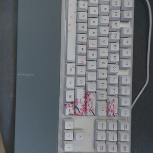 커세어 k70 cherry blossom 키보드