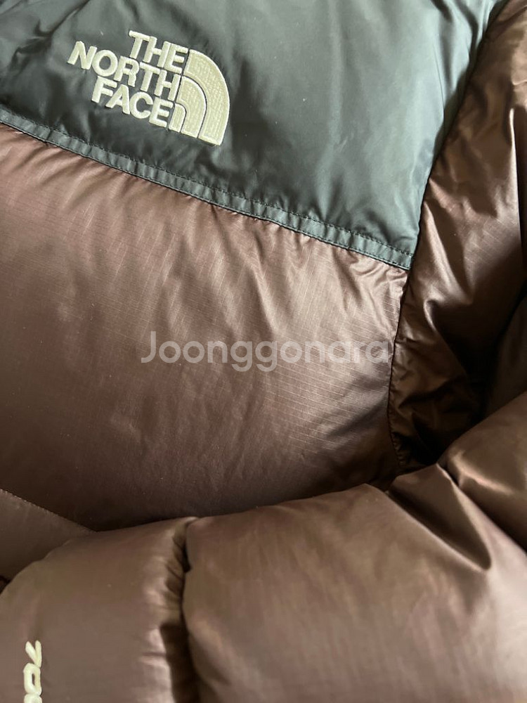 눕시 Xl--1