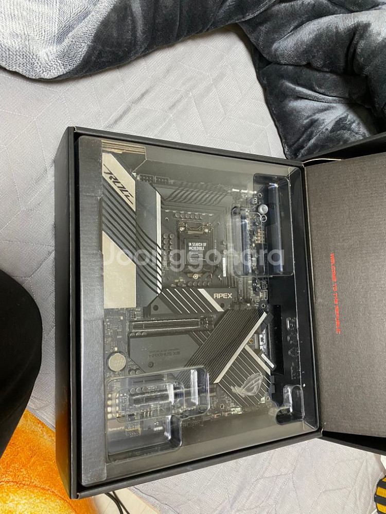 Rog maximus XIII apex--1
