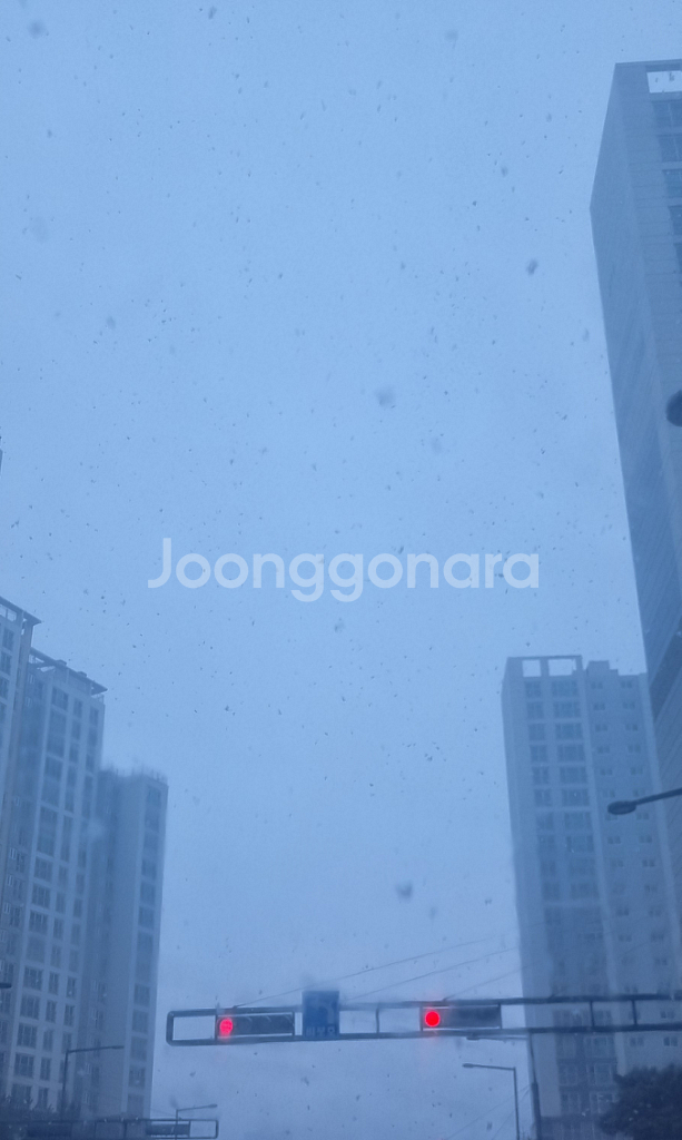 신세계 영수증 (미적립건 삽니다)--0