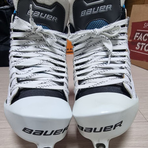 아이스하키 골리스케이트 6EE