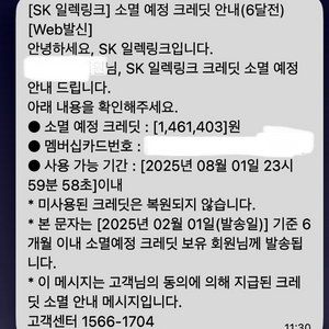 SK일렉링크 크레딧