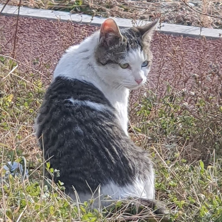profile-image