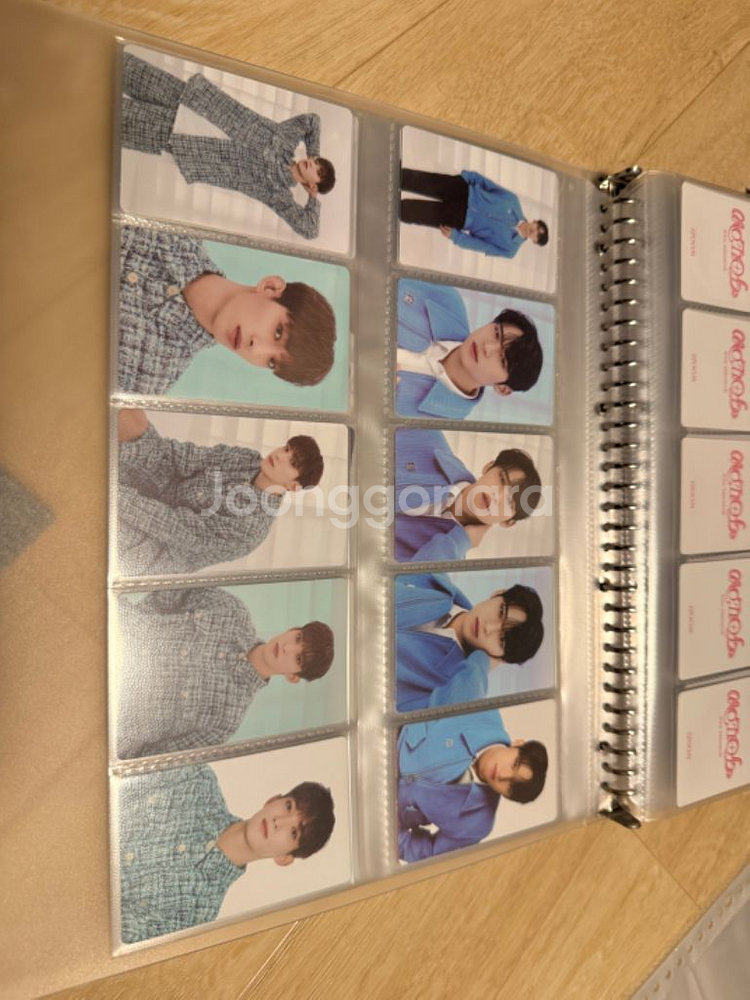 세븐틴 2024 팔로우 콘서트 포카 일괄--4