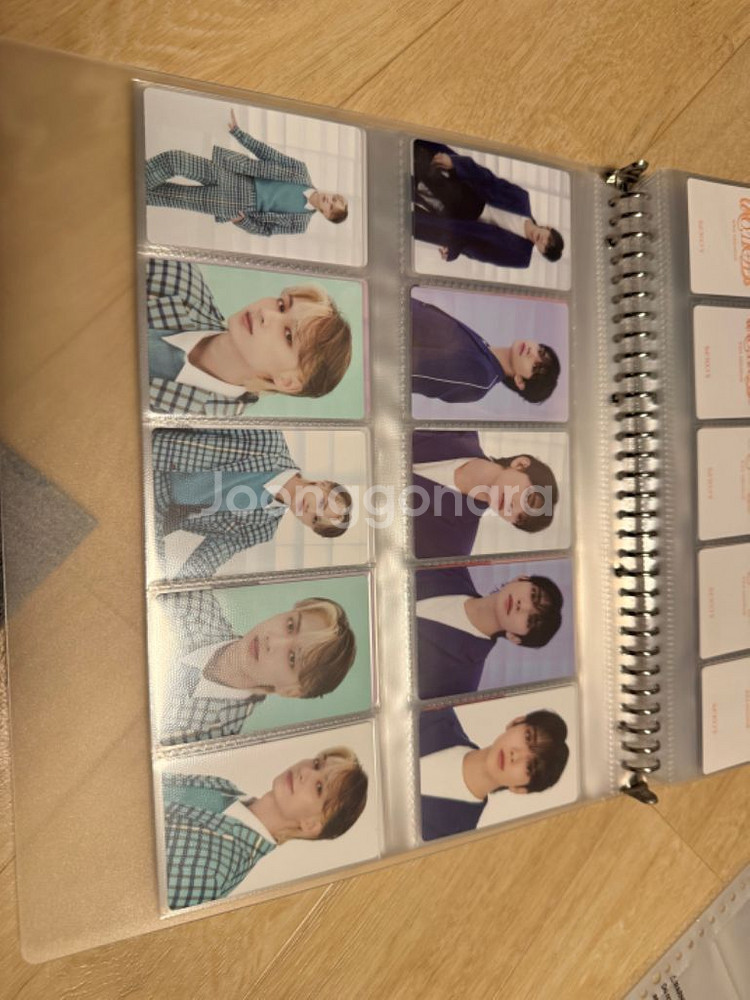 세븐틴 2024 팔로우 콘서트 포카 일괄--1