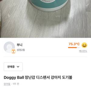 도기볼