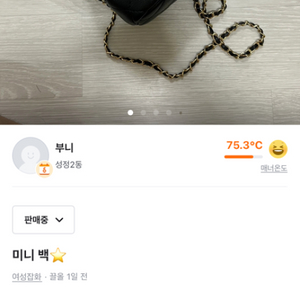 미니 체린백