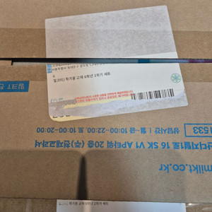 밀크티 4학년 2학기