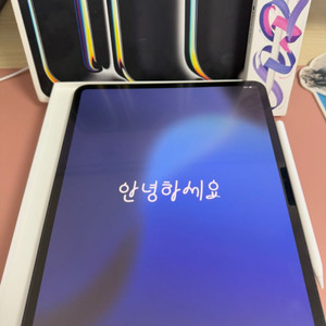아이패드 프로 m4 13 7세대 256 셀룰러+애펜프로