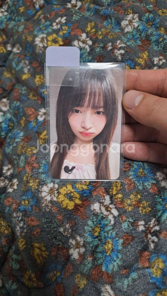 아이브 레이 위드뮤,포카 팝니다--0