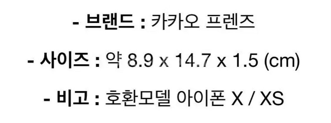 카카오프렌즈 제주 라이언 케이스--3
