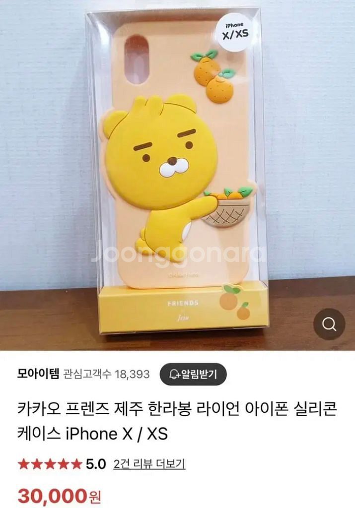 카카오프렌즈 제주 라이언 케이스--2