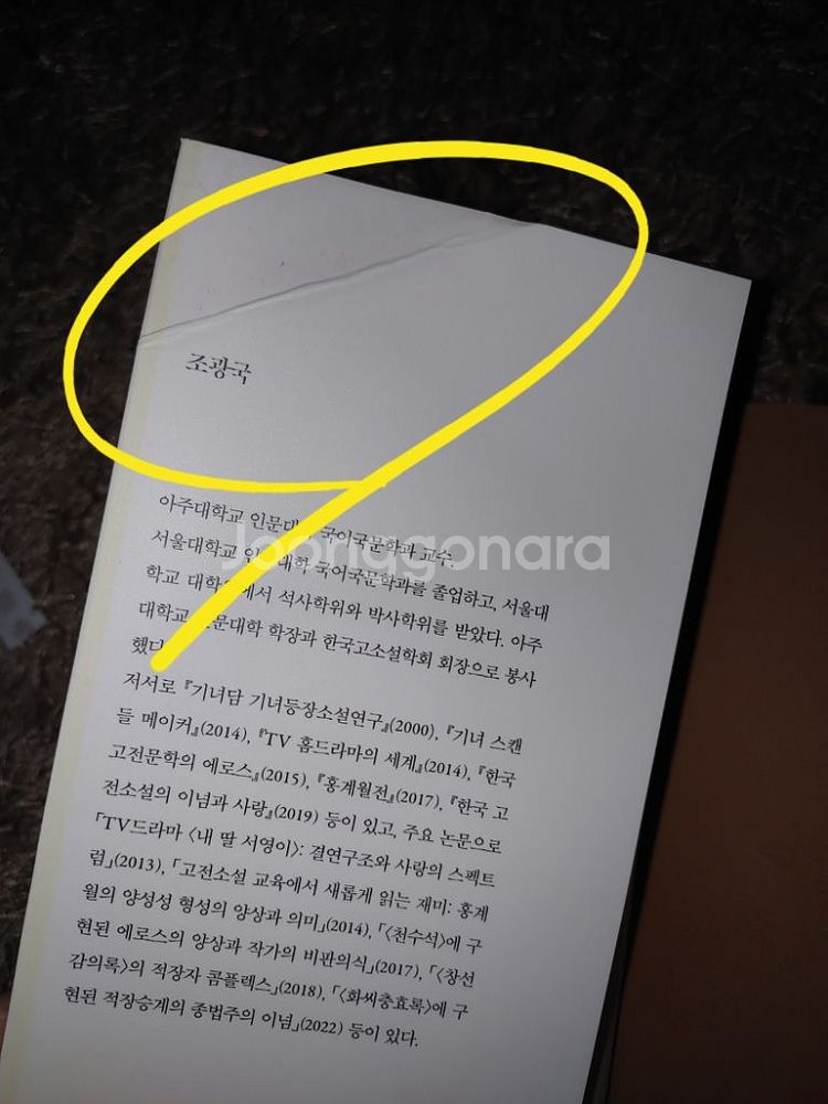 조선시대 대소설의 이념적 지평 문학 국문학 소설론 도서--1