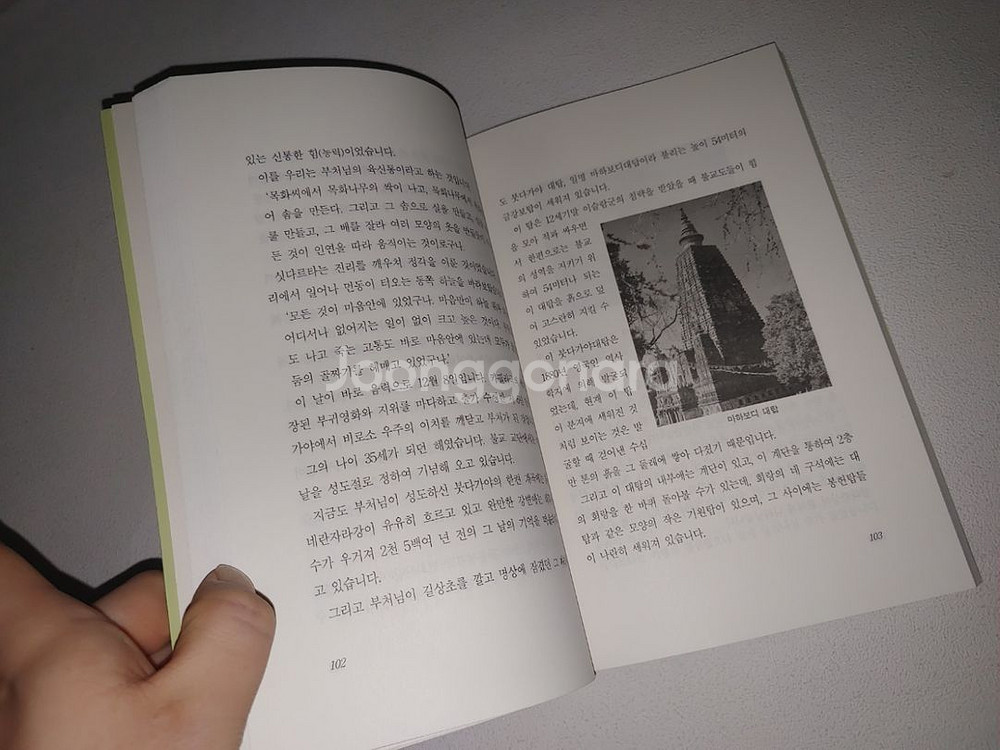 석가모니 부처님 종교 불교의 이해 도서--3