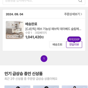 레이디가구 레브 데이베드