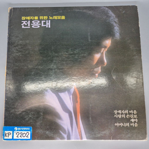전용대 비매품 LP판