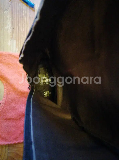 카르스톤 롱부츠 빅사이즈 260--2