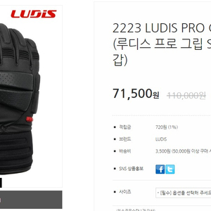 LUDIS PRO GRIP-SR 루디스 스키장갑 블랙