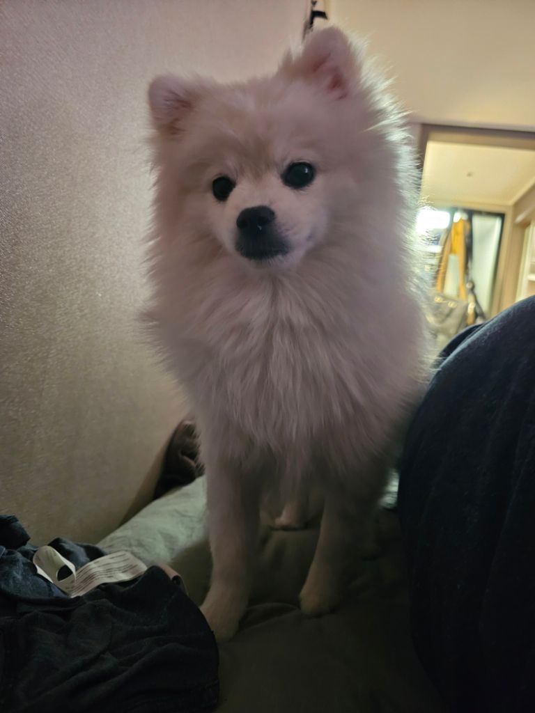 프로필 이미지