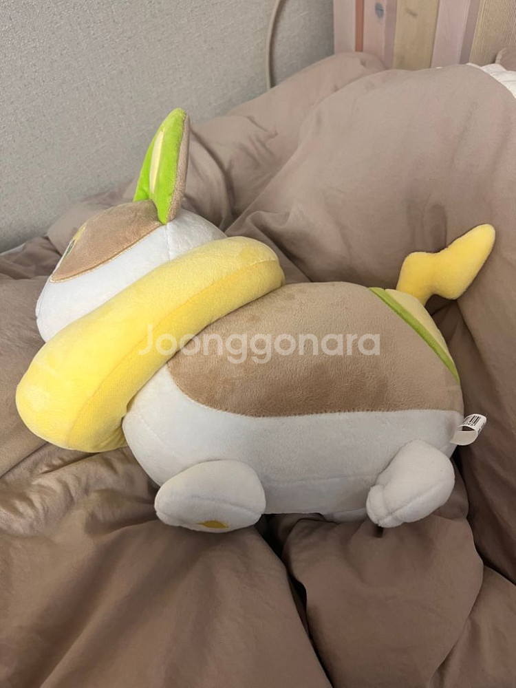포켓몬스터 멍파치 인형--1