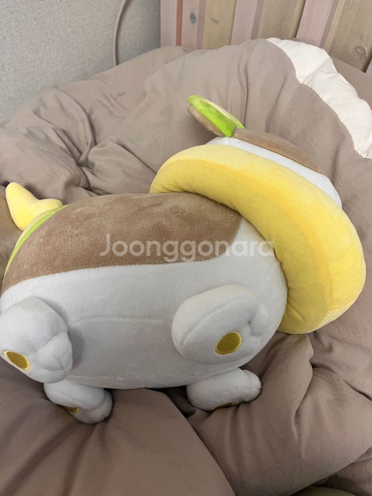 포켓몬스터 멍파치 인형--3