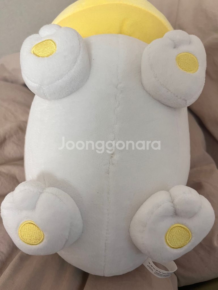 포켓몬스터 멍파치 인형--4