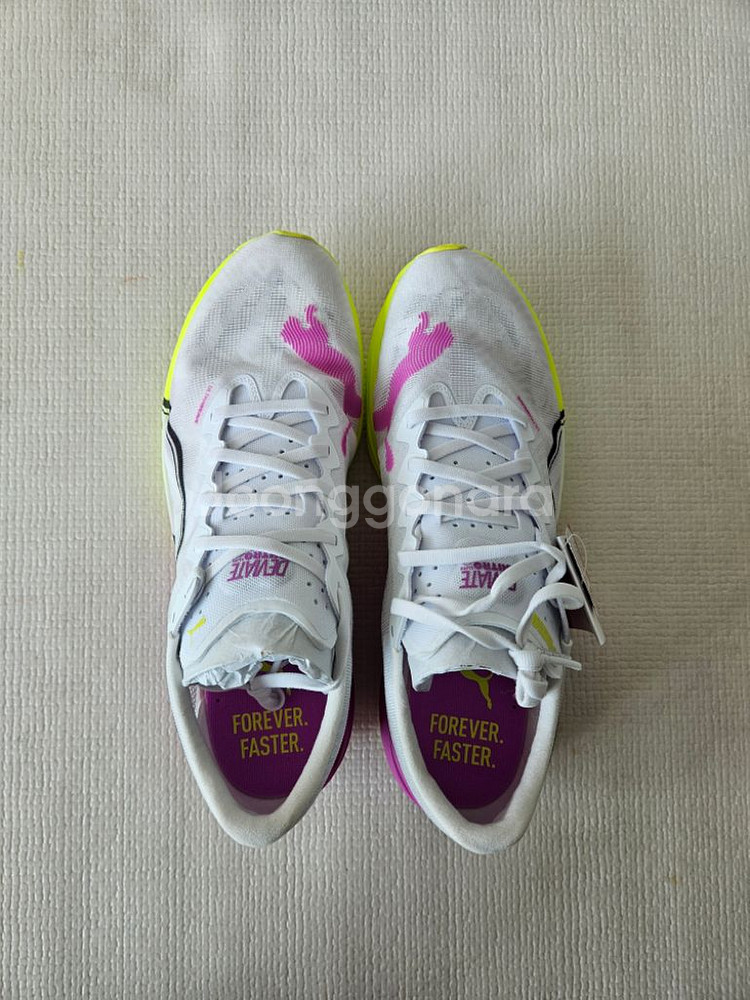 디비에이트 나이트로 엘리트3 290--2