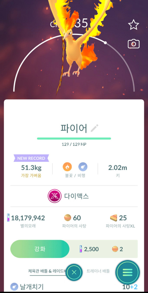 포켓몬고 다이맥스 파이어 판매--0