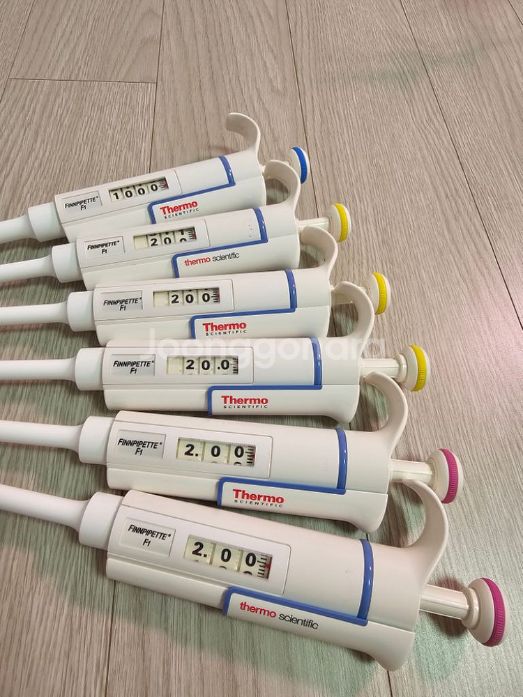 피펫--8