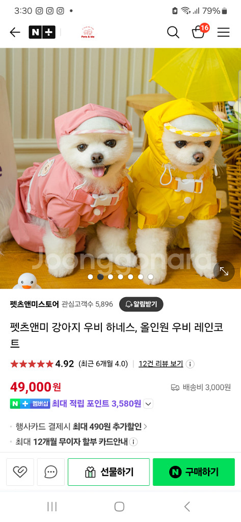 펫츠앤미 강아지 우비--3