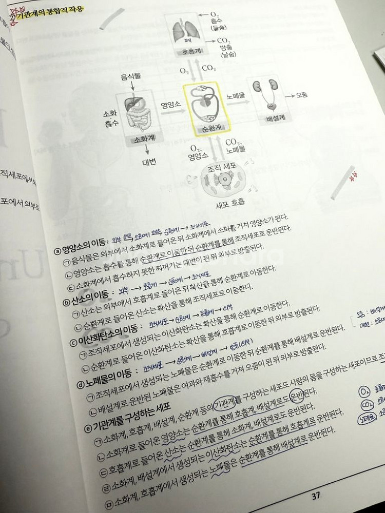 윤도영 23 All About 세트 + 올어바웃 미니--1