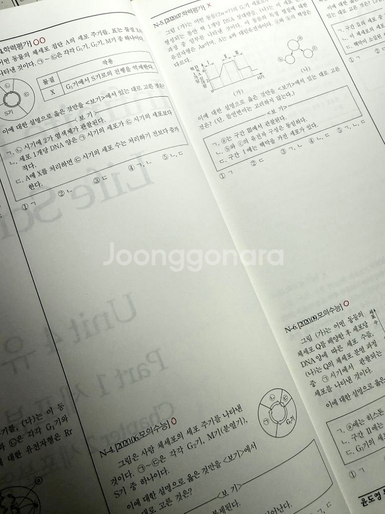 윤도영 23 All About 세트 + 올어바웃 미니--3