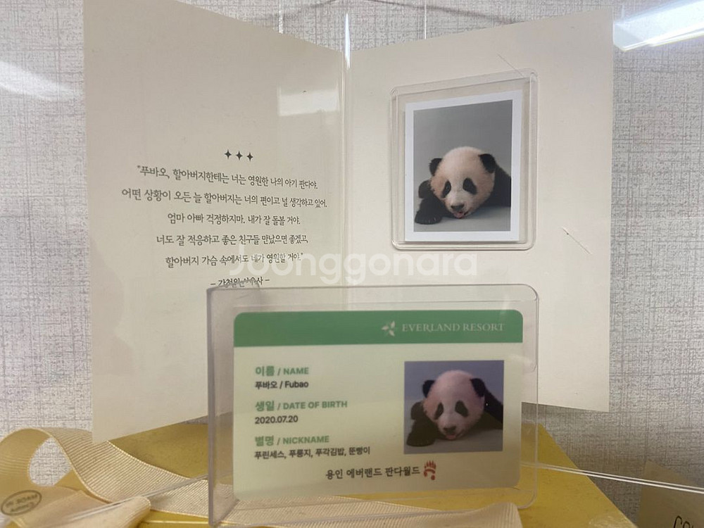 푸바오 아이디카드 팝니다--1