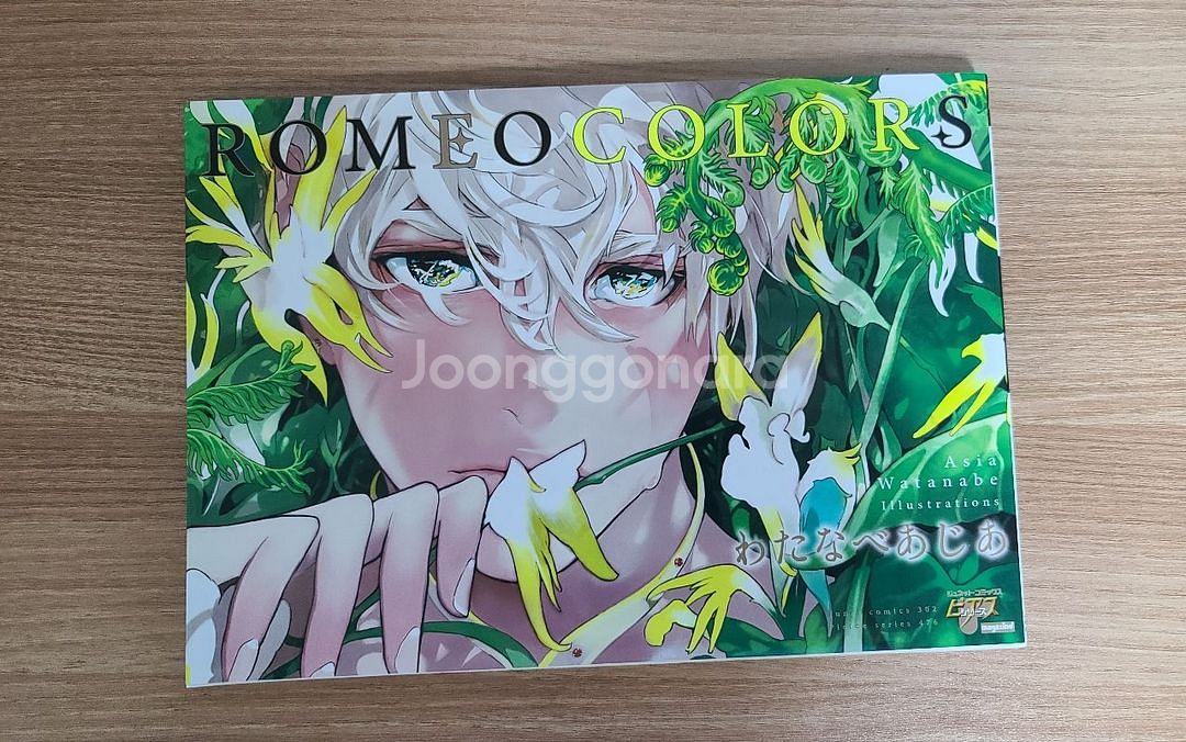 ROMEO COLORS 일러스트북(아트북)--1