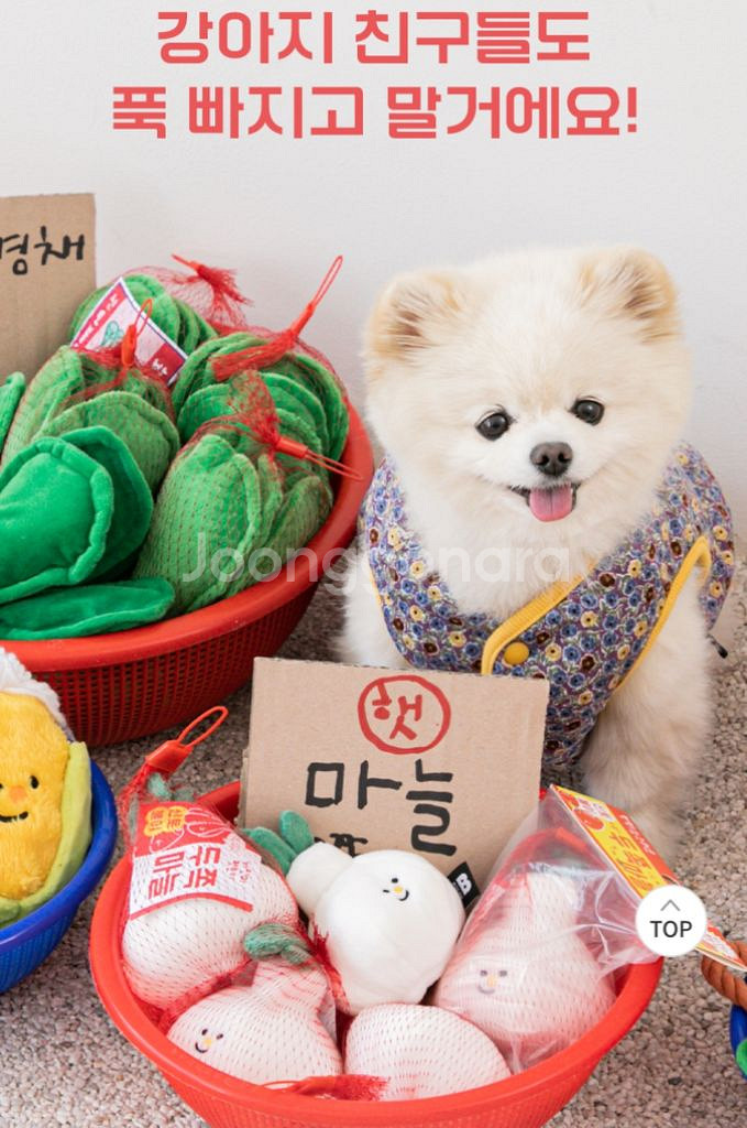강아지장난감 노즈워크 4개 일괄--1