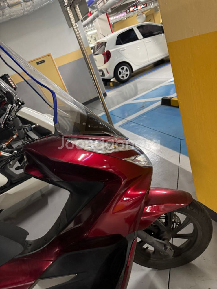 pxc 125cc 팝니다--3