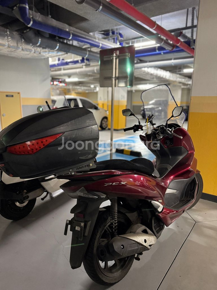 pxc 125cc 팝니다--2