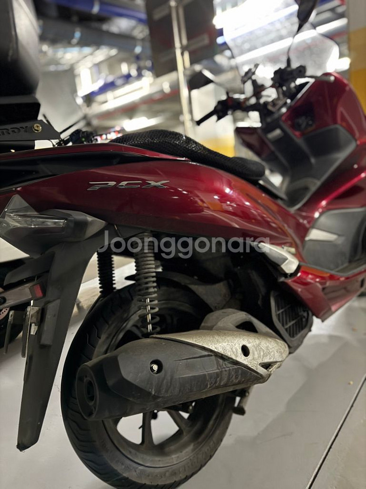 pxc 125cc 팝니다--6