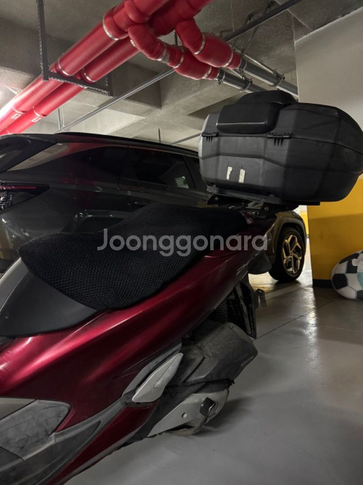pxc 125cc 팝니다--7