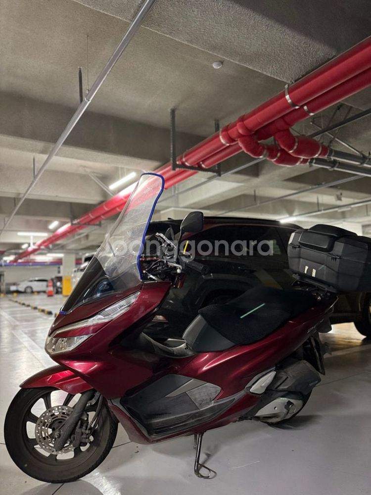 pxc 125cc 팝니다--1