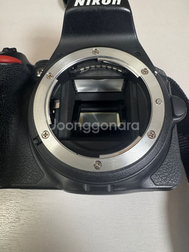 니콘 D5600--3