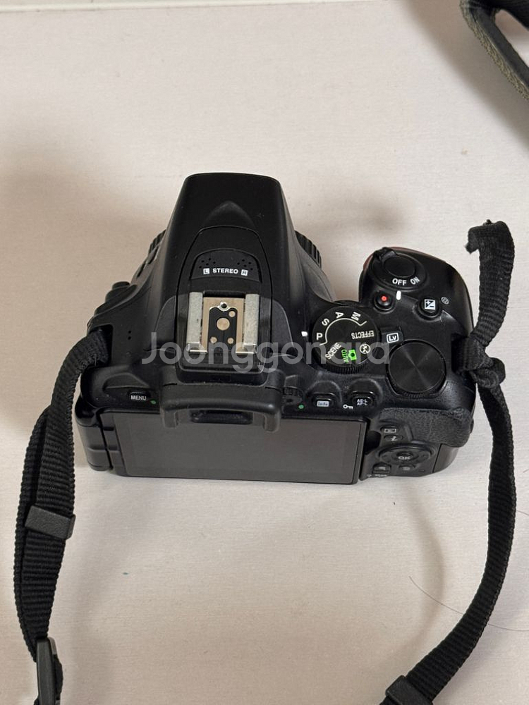 니콘 D5600--2