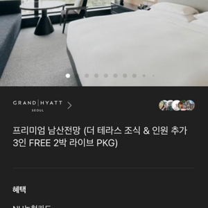 그랜드 하얏트 서울 2박 양도(아이스링크 및 조식포함)